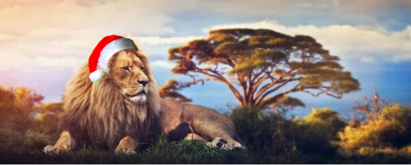 Traditional Christmas Roast Lunch